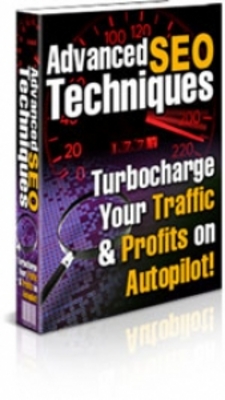 Product picture Advanced SEO Techniques with PLR